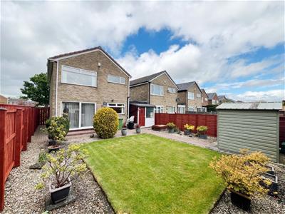 Picture 19